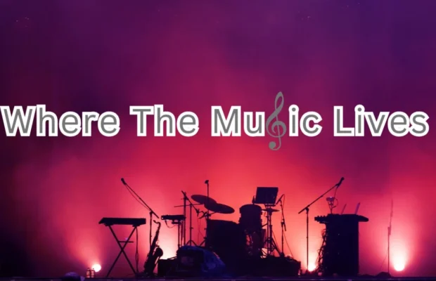 Central Illinois Music Guide